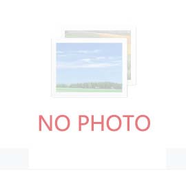 为什么精英都是时间控
